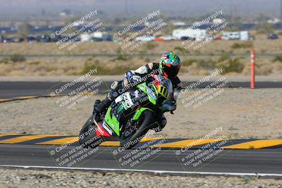 media/Feb-04-2023-SoCal Trackdays (Sat) [[8a776bf2c3]]/Turn 11 (945am)/